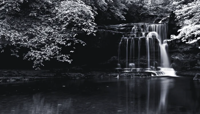 Lee Filters LEE100 Deluxe Kit Plus Review: The Filter System That Finally Makes Sense