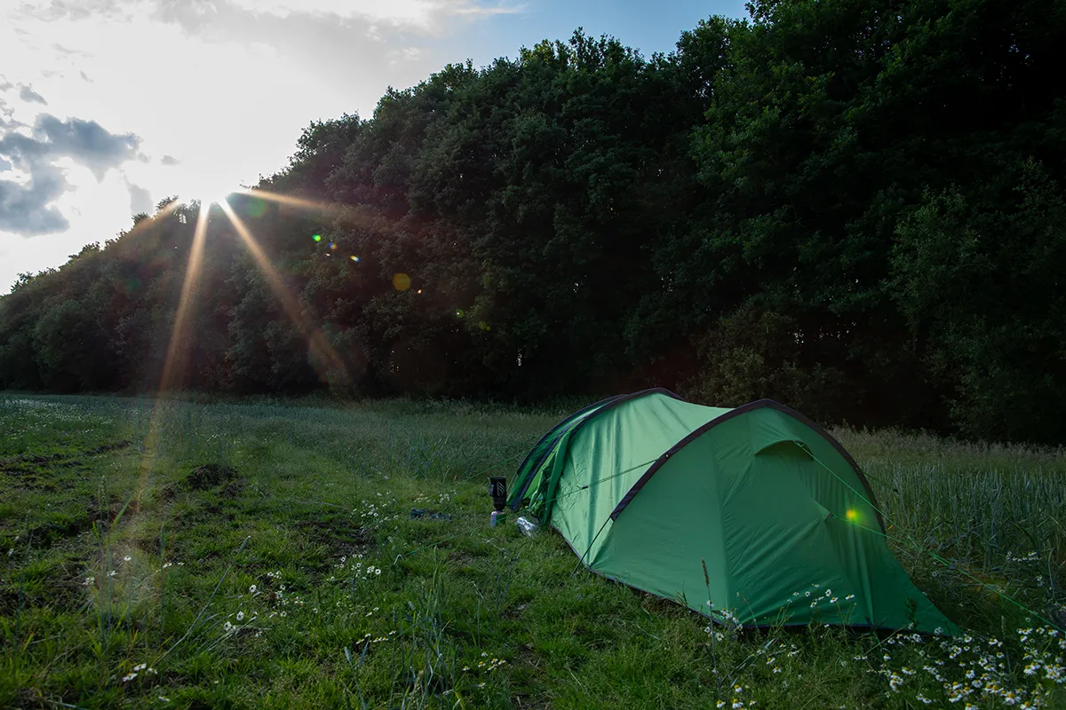 Vango Pulsar Pro 300 review: the tent pitched in a grassy clearing with the sun low behind the trees
